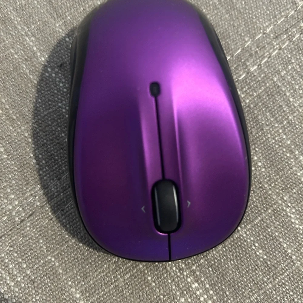Purple mouse